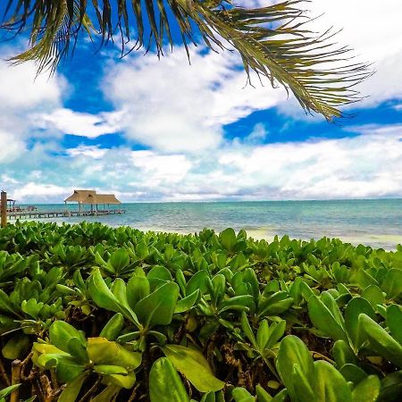 Punta Me Beach suites Cancún Zewnętrze zdjęcie